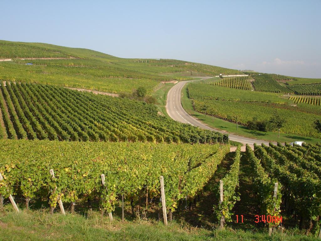 Gite Du Vigneron Turckheim Dış mekan fotoğraf