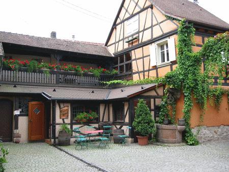 Gite Du Vigneron Turckheim Oda fotoğraf